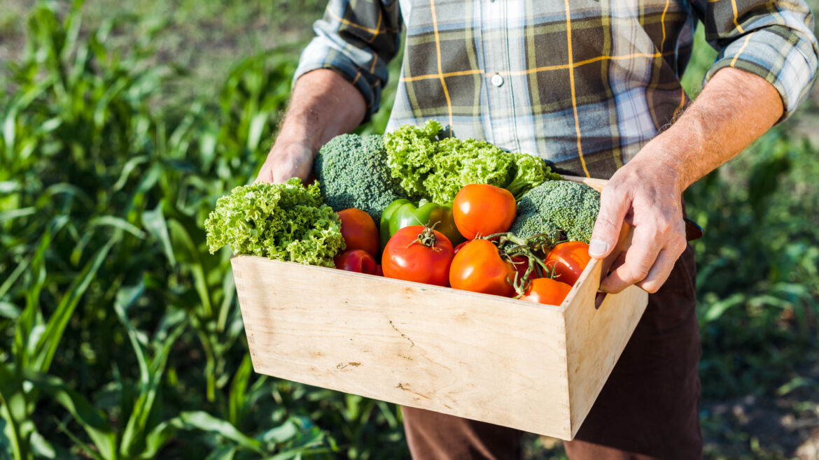 Community Farms